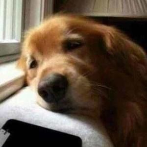 Meet your Posher, Sandy